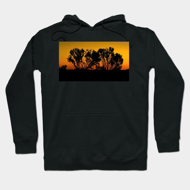 Dawn Silhouette Hoodie by briankphoto